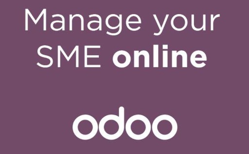 Self Implement an ECommerce Store in Odoo - Feb. 1st 2023